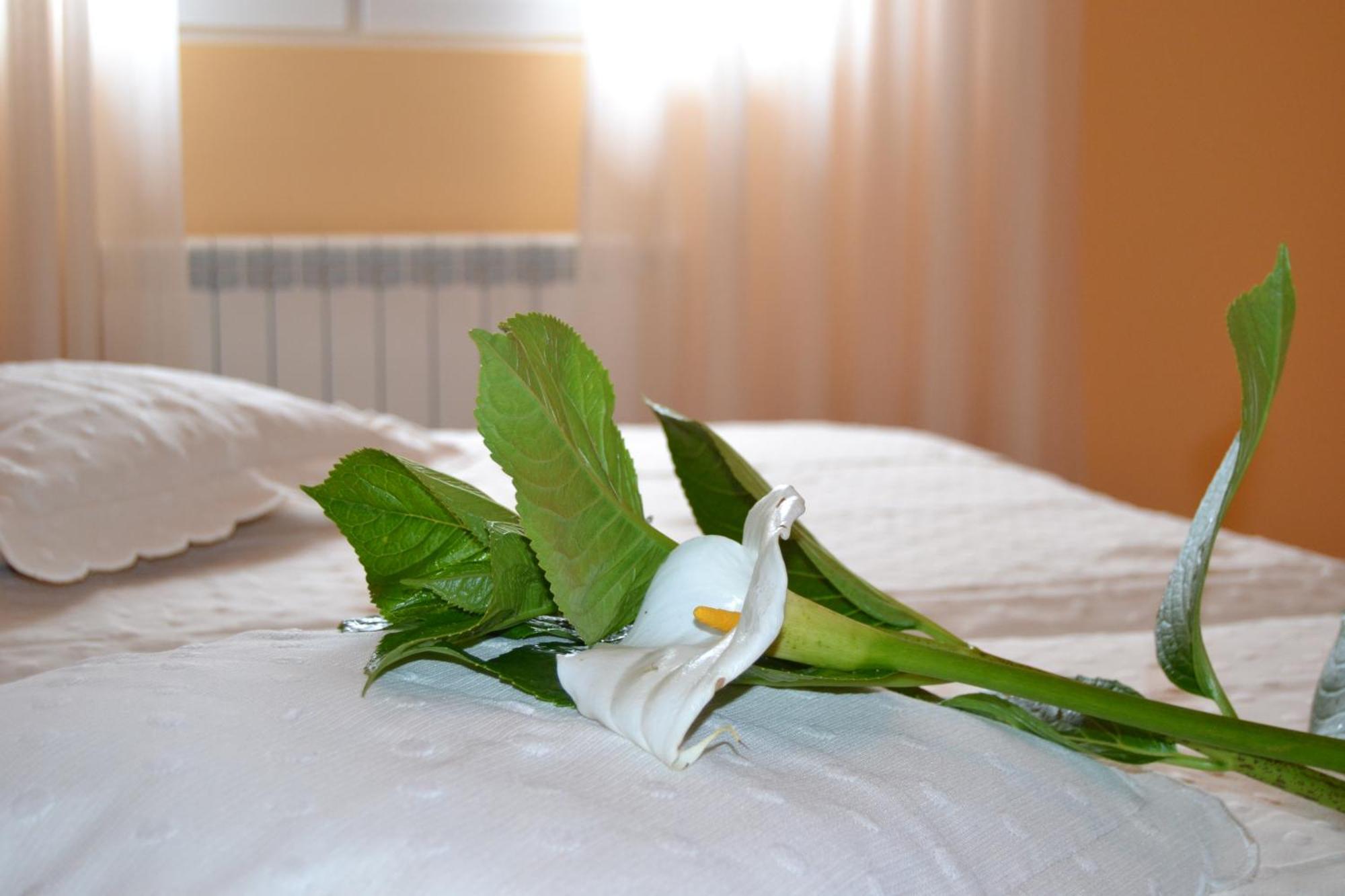 Hostal Pereirina Cee Room photo